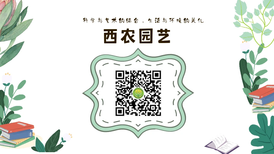 如何为青少年设计一个充满趣味性的篮球训练场地?_2